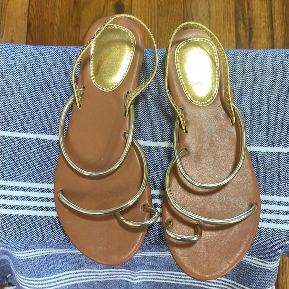 Brown and Gold Women's Sandals